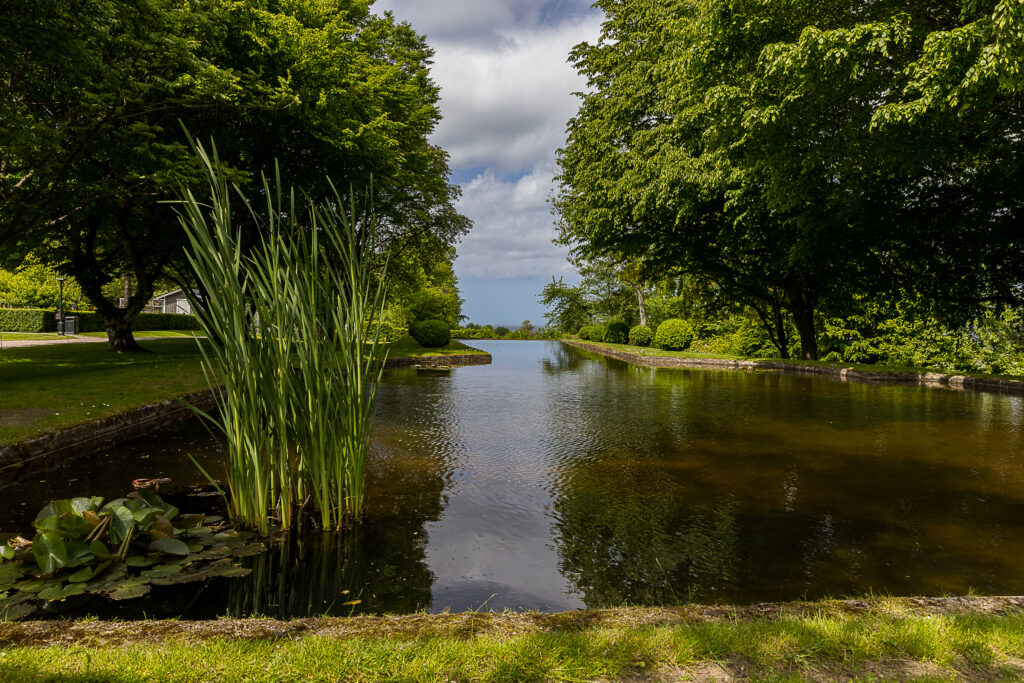 Dammen i Norrvikens trädgård