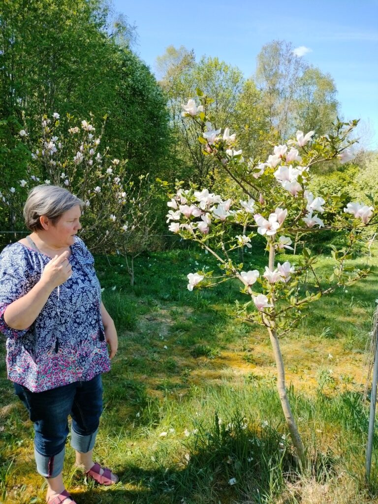 Magnolia hos Sara Brenne