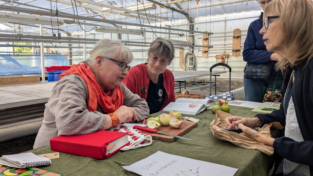 Pomolgerna Agneta och Anna klurade ut namnen på medhavd frukt